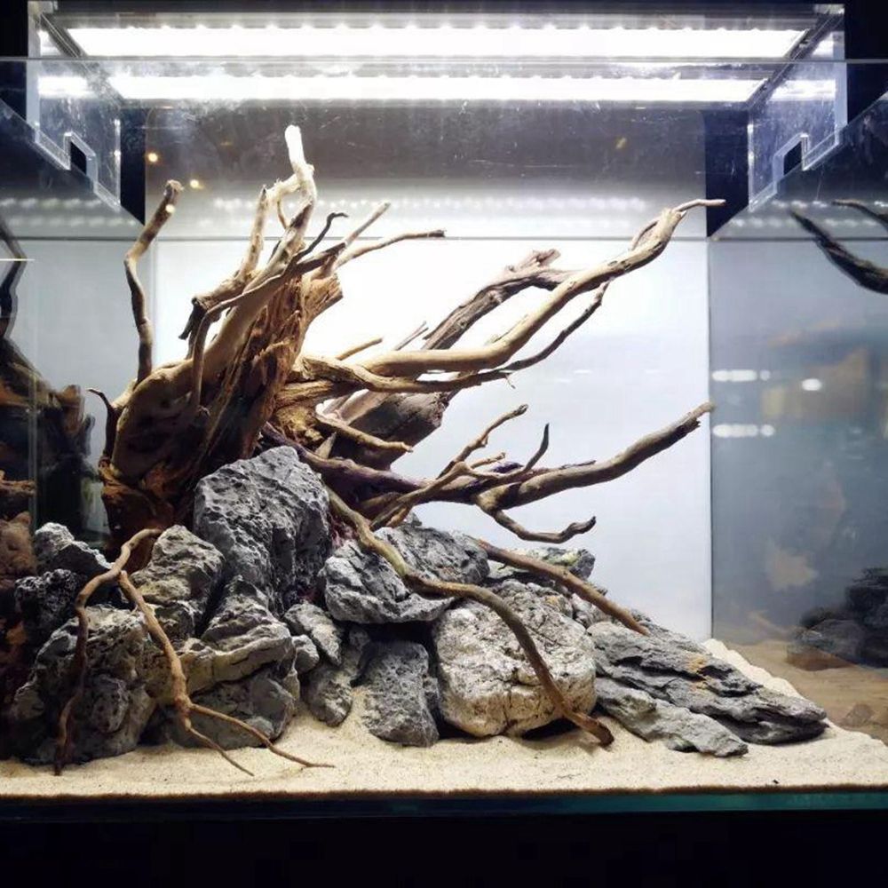 Legno N1N per Terrario Rettili - Planted Aquarium With Driftwood recensione e prezzo