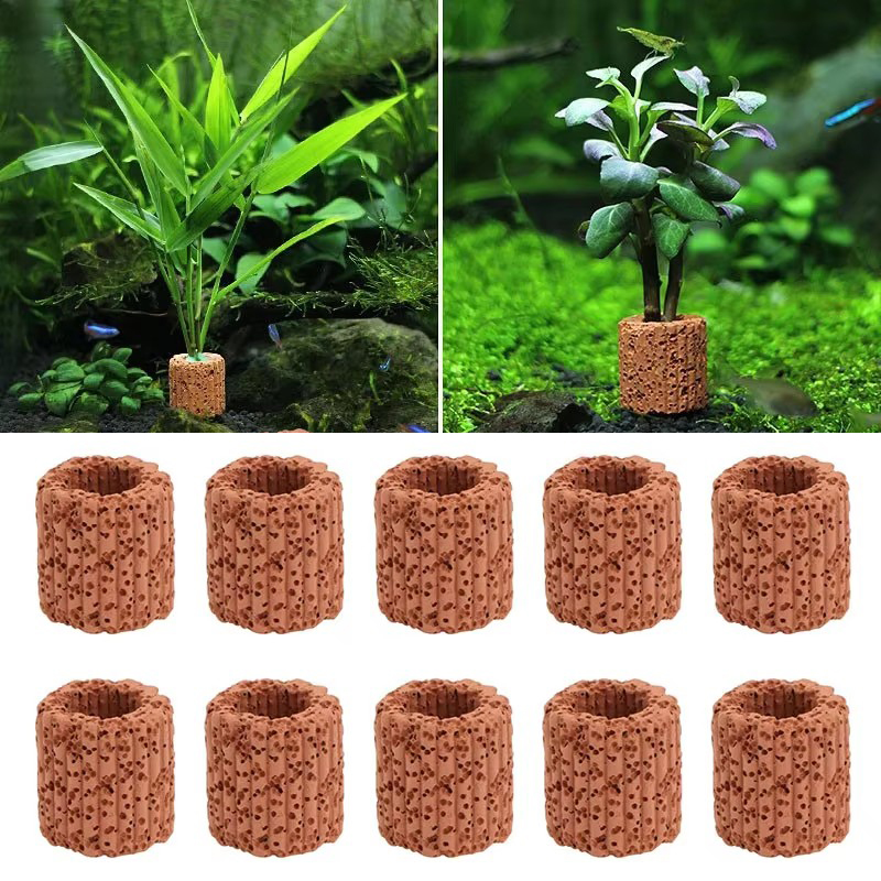 Anello fisso per piante acquat - Aquarium Plant Design recensione e prezzo