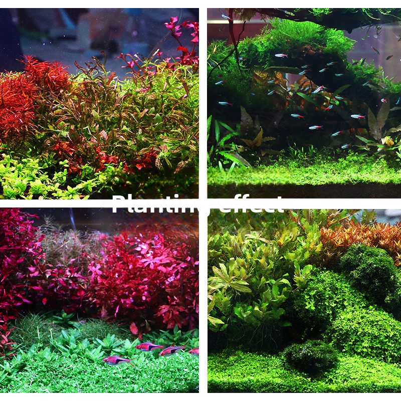 SYSENCIAGA Substrato per acqua - Aquarium Planted Soil recensione e prezzo