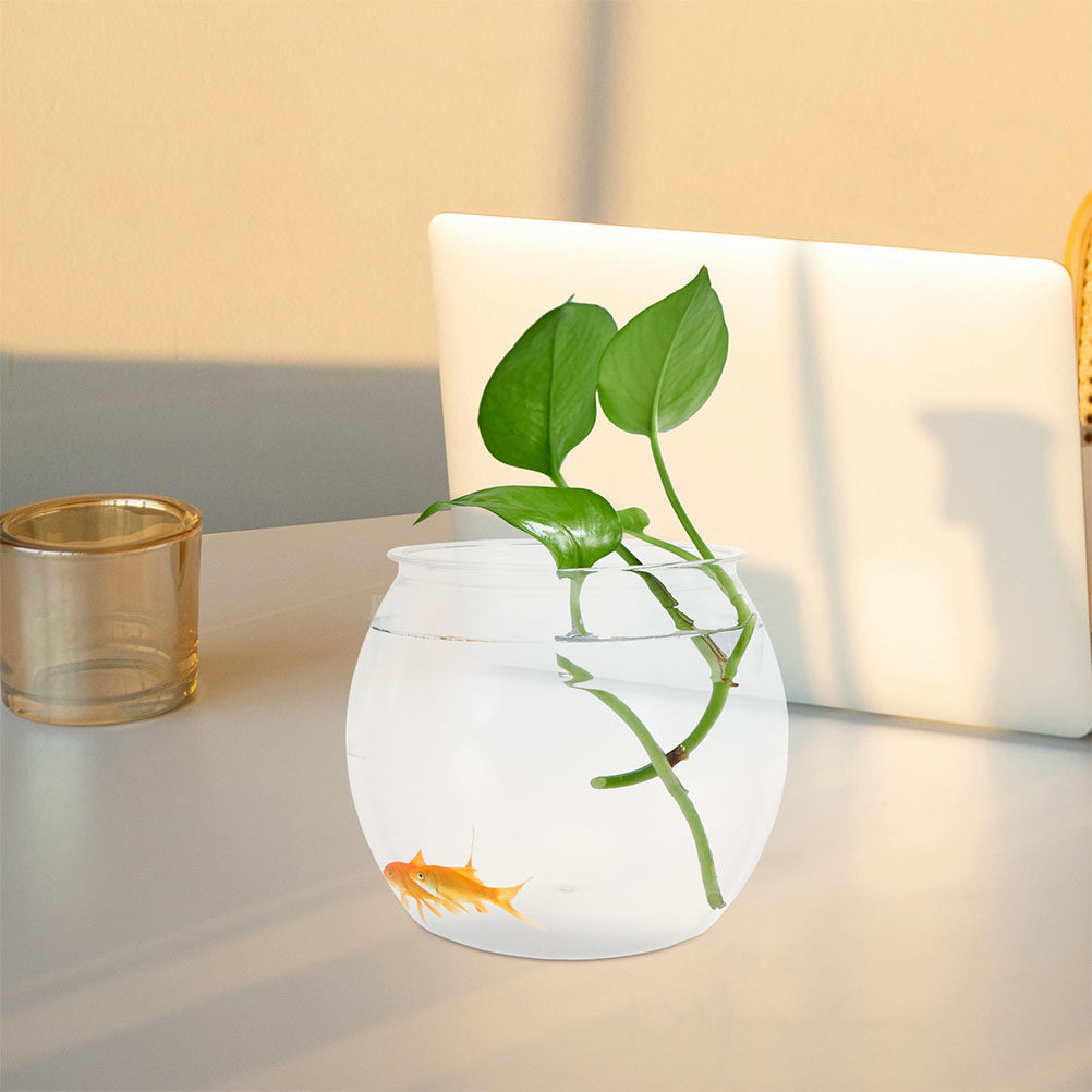 Acquario Rotondo Infrangibile  - Planted Aquarium Bowl recensione e prezzo