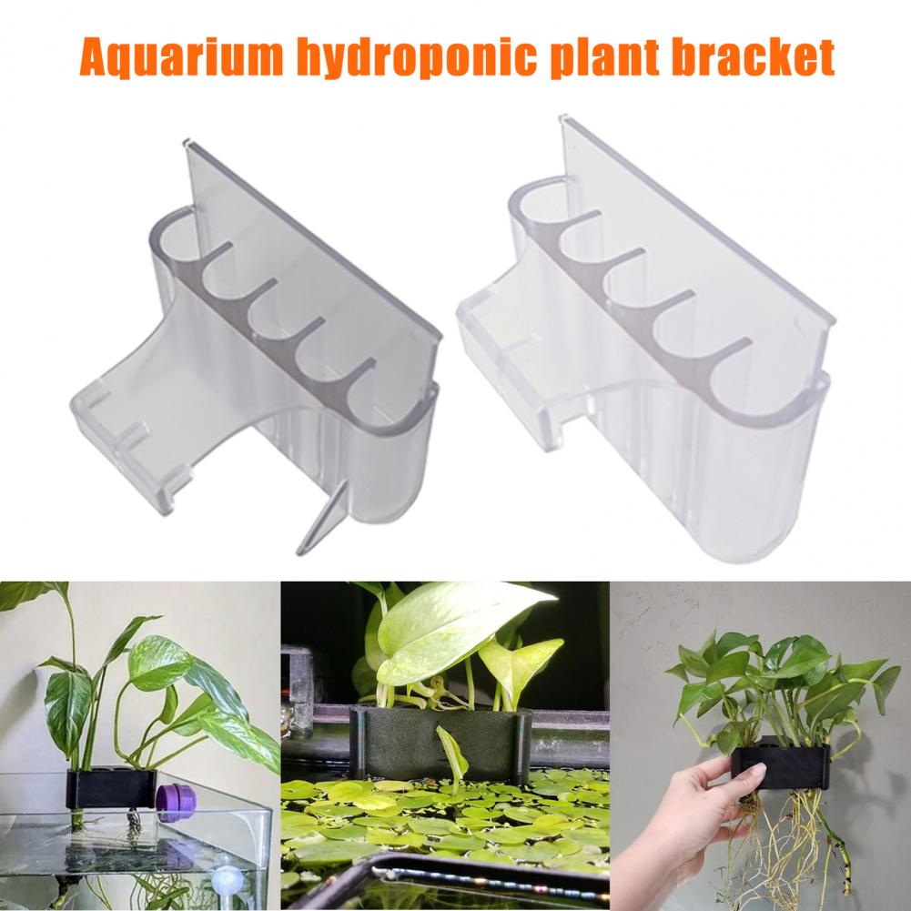 4.5/6.5 centimetri Acquario Pi - Aquarium Planted Fish recensione e prezzo