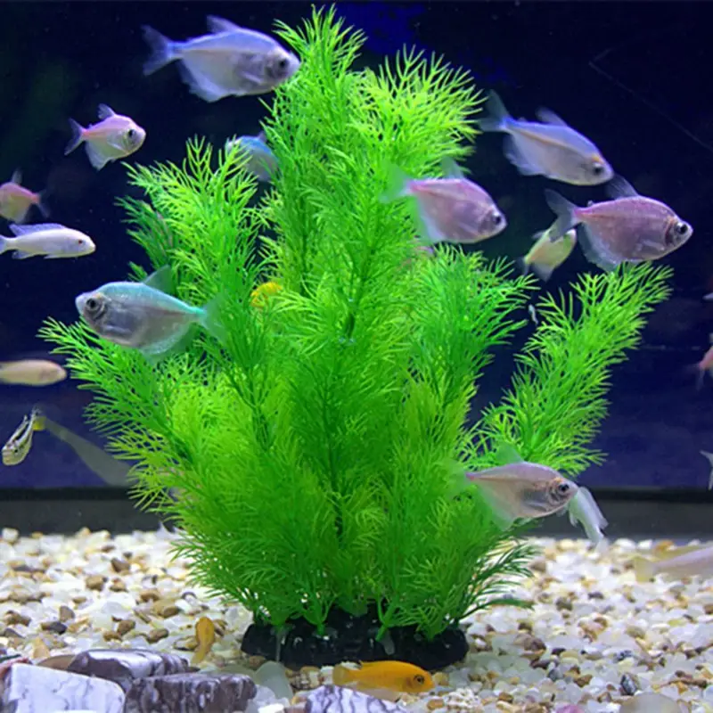 Piante artificiali per decoraz - Aquarium Plant Design recensione e prezzo