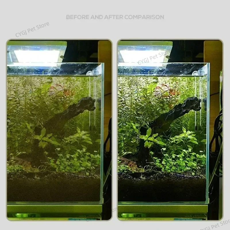 Strumento per la pulizia dell' - Planted Aquarium Maintenance Kit recensione e prezzo