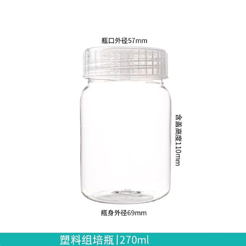 10 bottiglie in plastica per c - Tissue Culture Plant recensione e prezzo