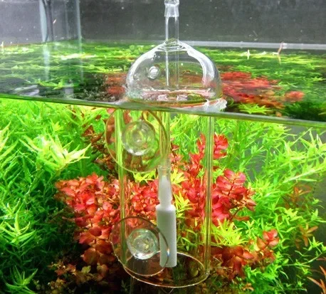 VIV Do Dispositivo Cilindro pe - Planted Aquarium Supplies recensione e prezzo