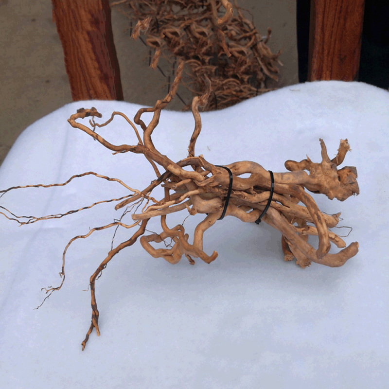 Acquario Micro Paesaggio Legno - Aquarium Planted Soil recensione e prezzo