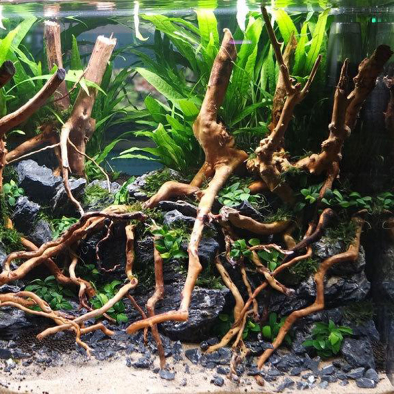 Acquario Micro Paesaggio Legno - Aquarium Planted Soil recensione e prezzo