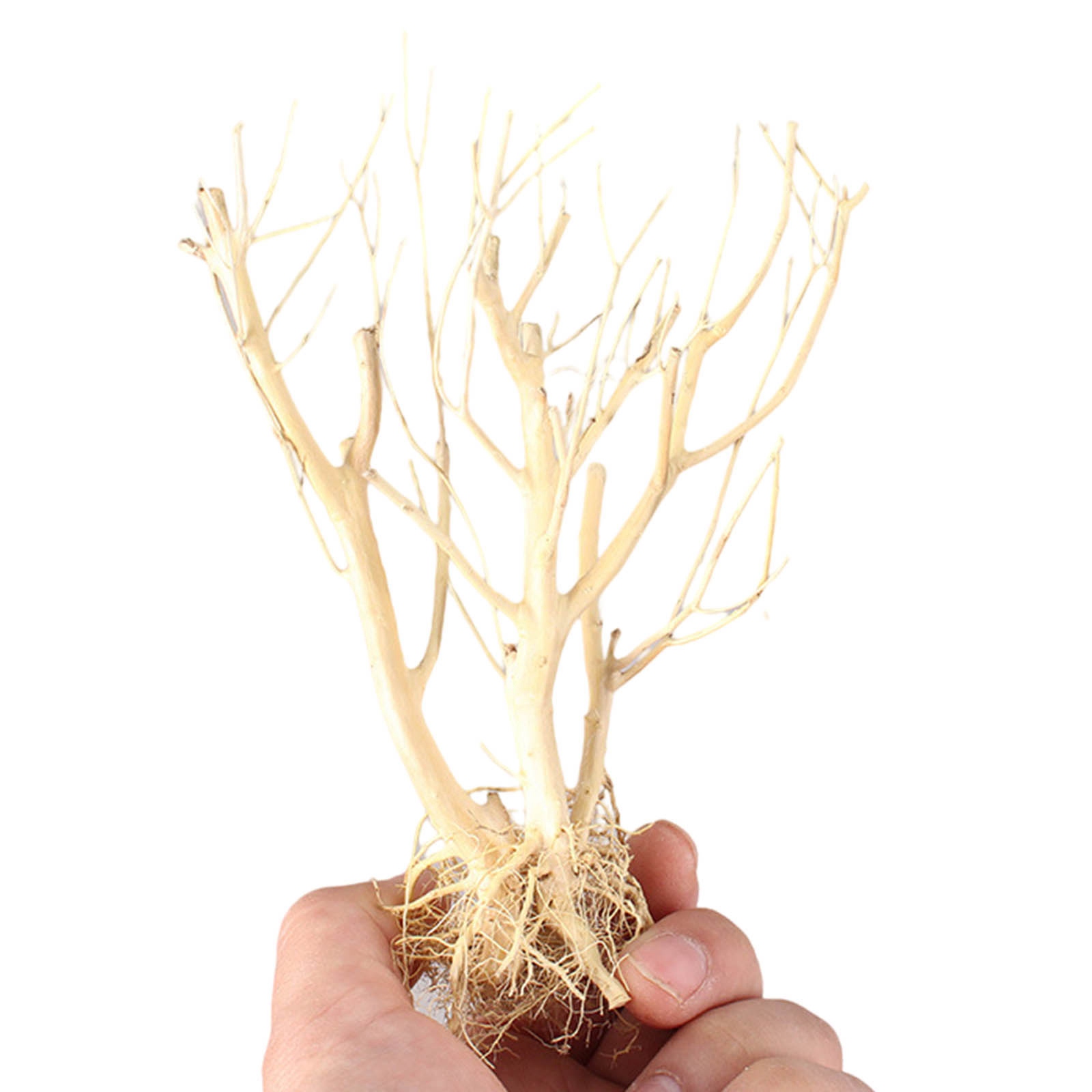 Nuovo Ornamento per Acquario i - Aquarium Plant On Wood recensione e prezzo