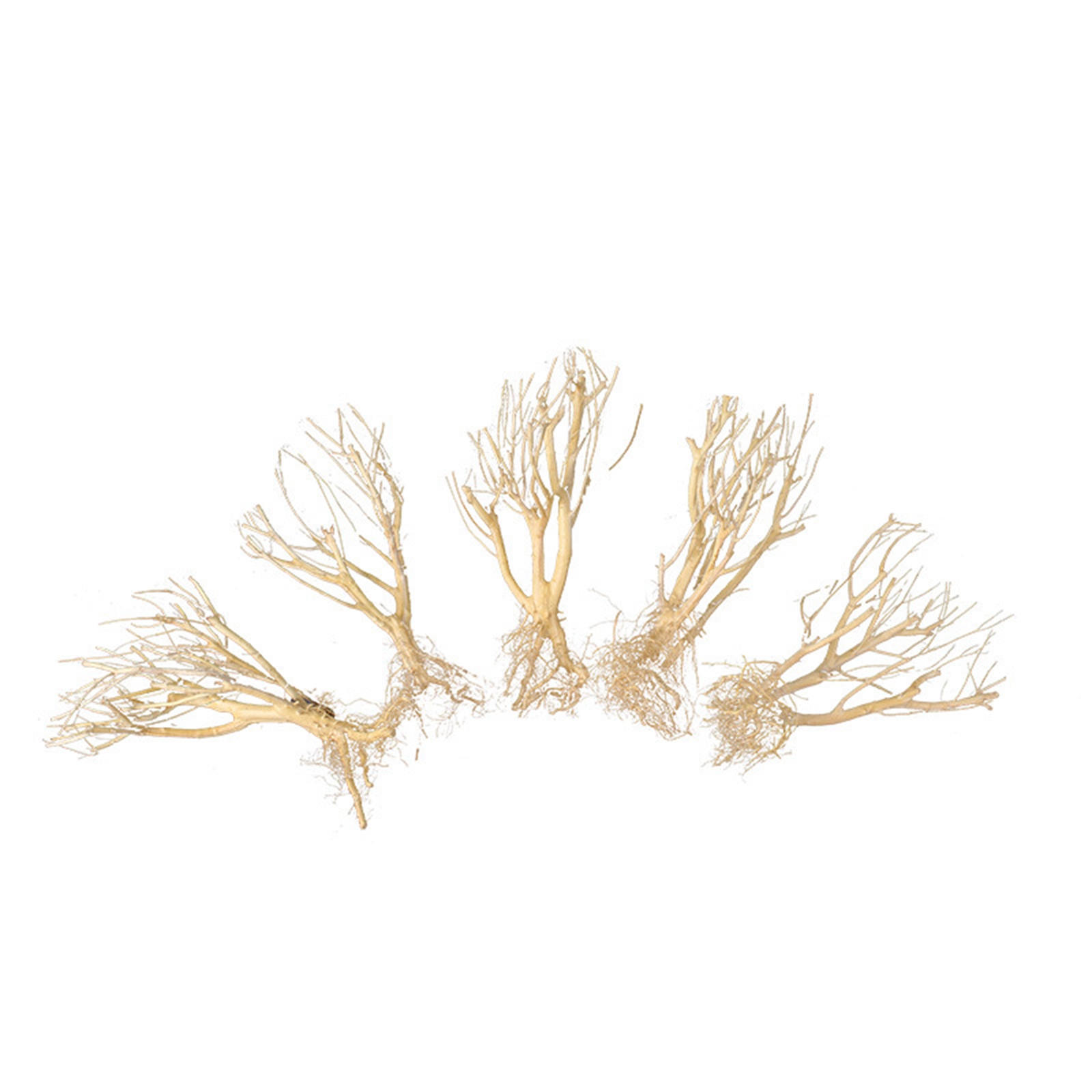Nuovo Ornamento per Acquario i - Aquarium Plant On Wood recensione e prezzo