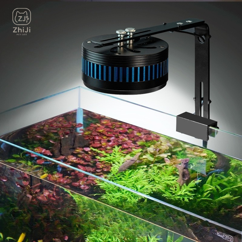 Lampada LED per Acquario a Spe - Aquarium Plant On Wood recensione e prezzo