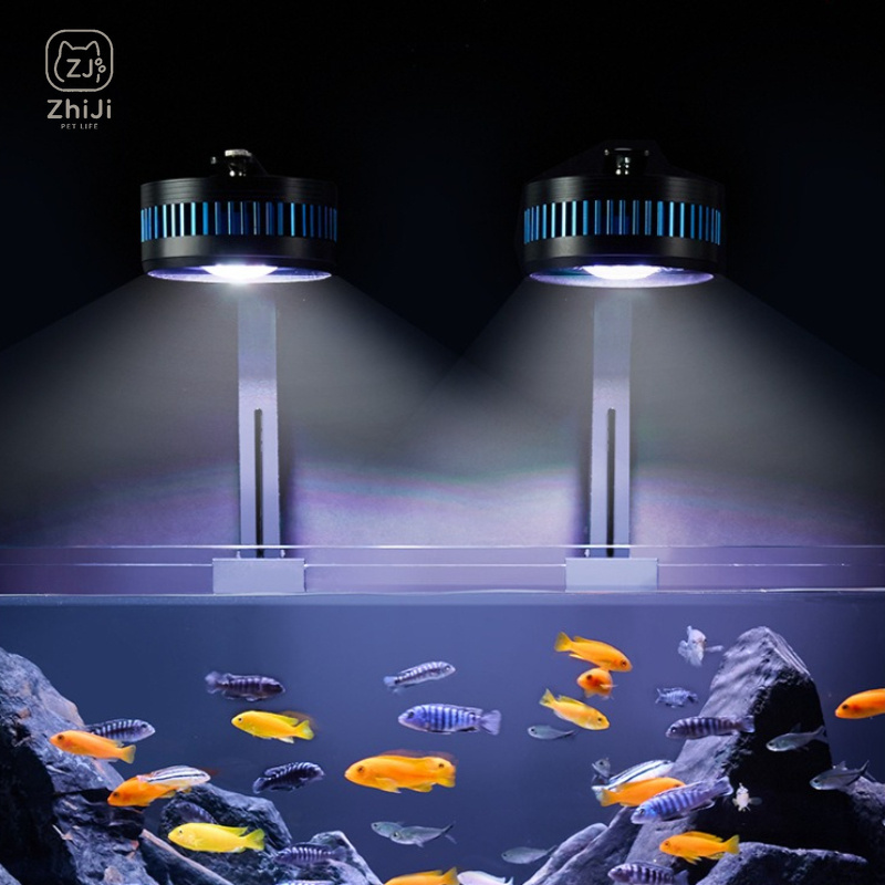 Lampada LED per Acquario a Spe - Aquarium Plant On Wood recensione e prezzo