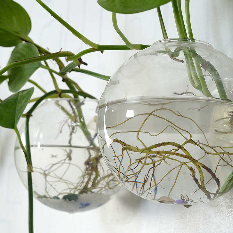 Ciotola per pesci in acrilico  - Planted Aquarium Bowl recensione e prezzo