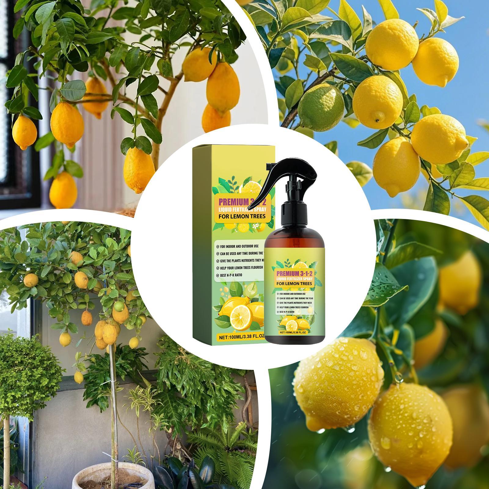Spray Concentrato di Nutrienti - Liquid Fertilizer All In recensione e prezzo