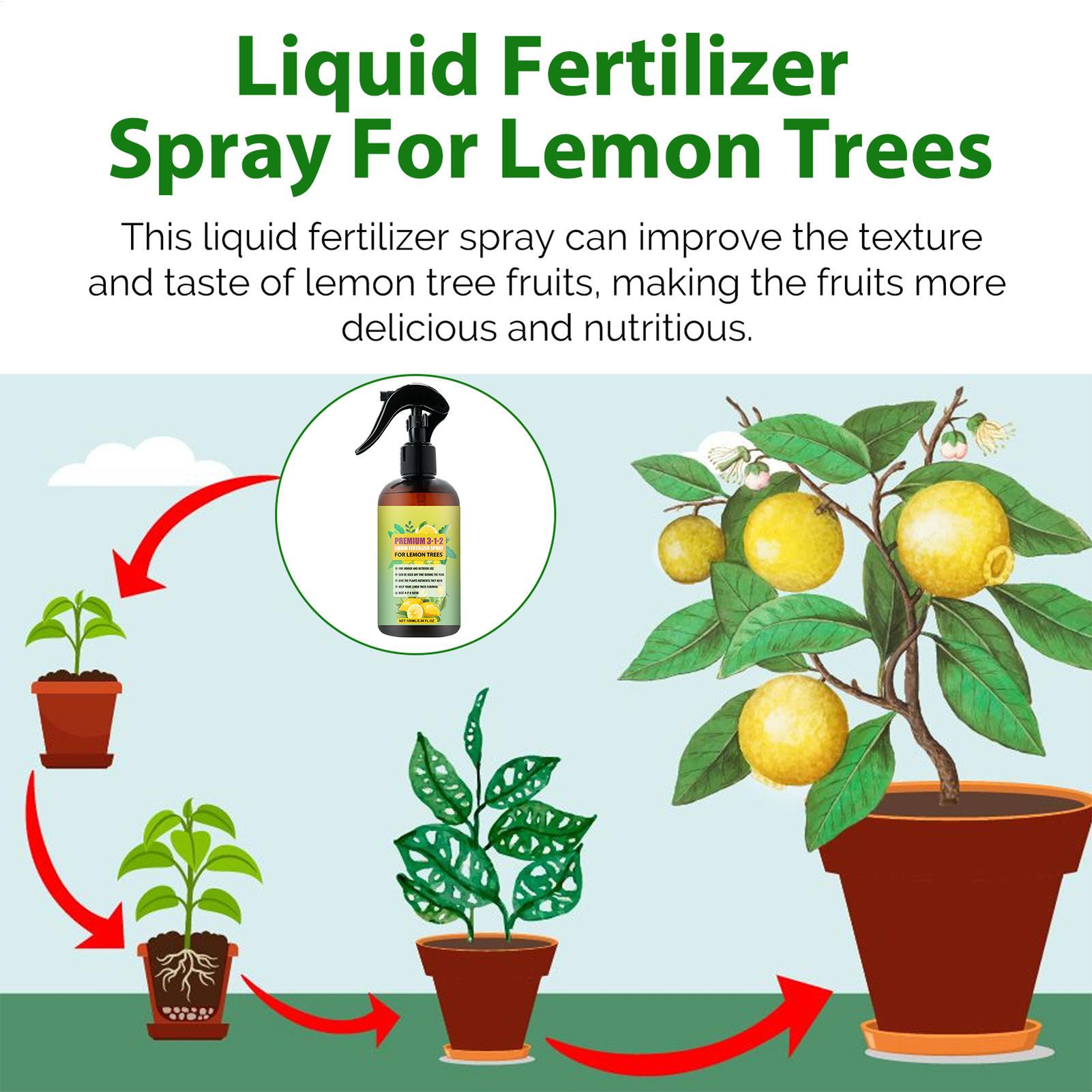 Spray Concentrato di Nutrienti - Liquid Fertilizer All In recensione e prezzo