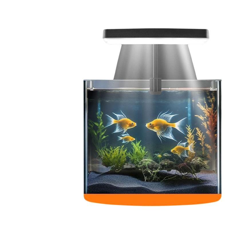 Lampada LED USB per Acquario c - Aquarium Planted Fish recensione e prezzo