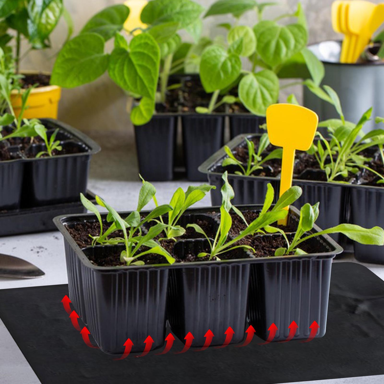 Tappetini riscaldanti USB da 8 - Tissue Culture Plant recensione e prezzo