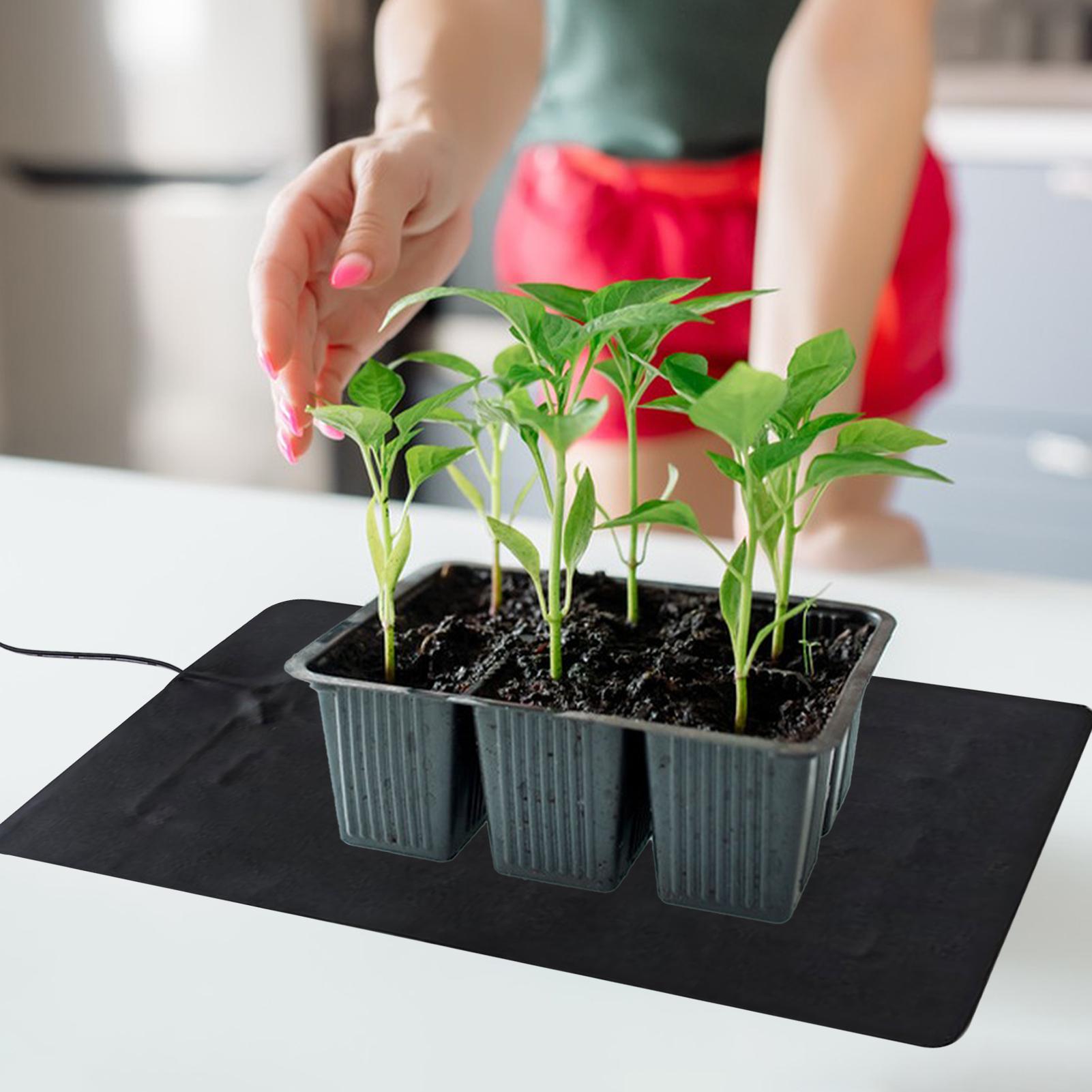 Tappetini riscaldanti USB da 8 - Tissue Culture Plant recensione e prezzo