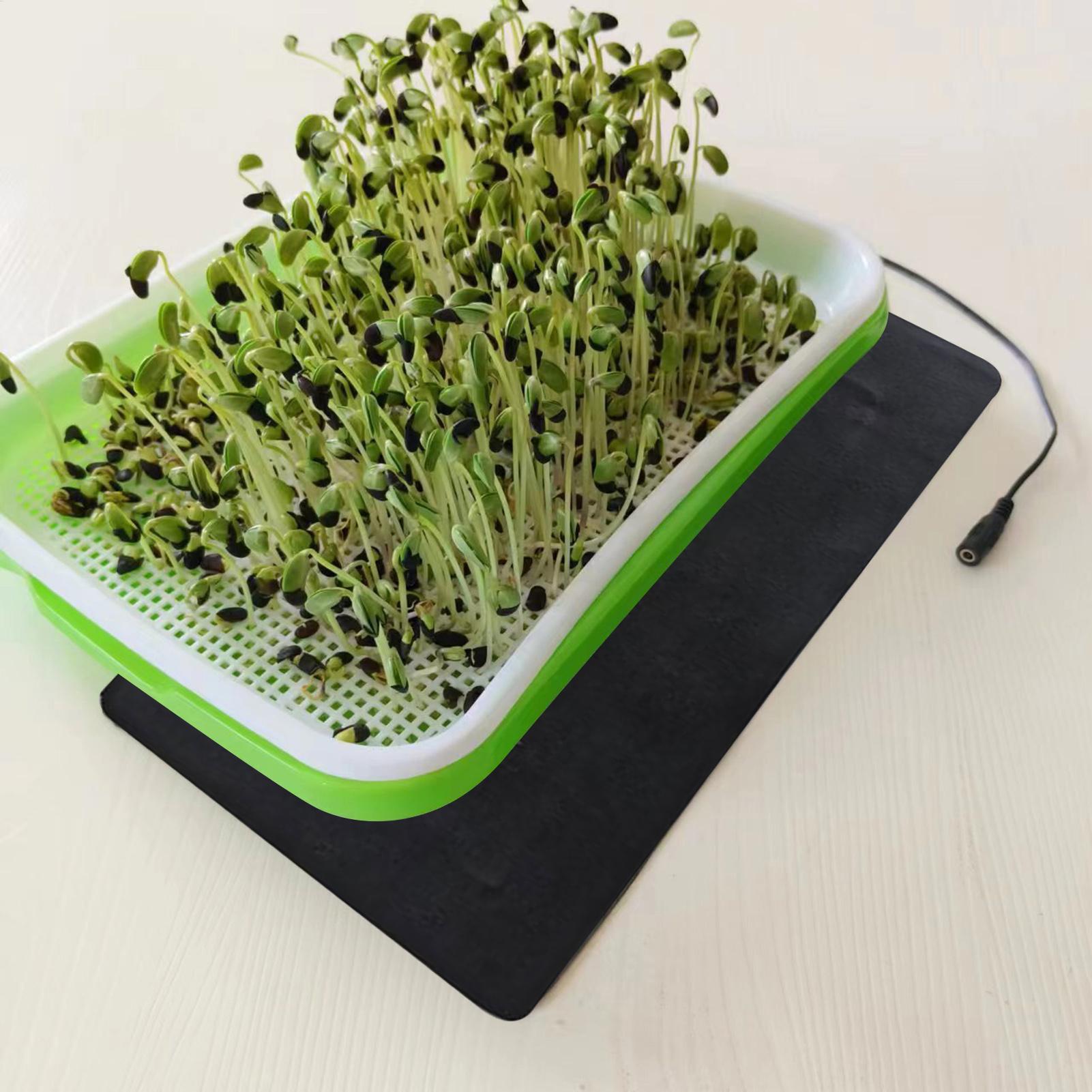 Tappetini riscaldanti USB da 8 - Tissue Culture Plant recensione e prezzo