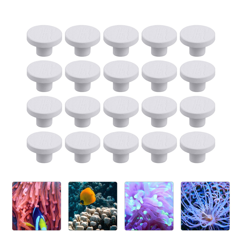 Base per fragole di corallo in - Aquarium Plant Design recensione e prezzo