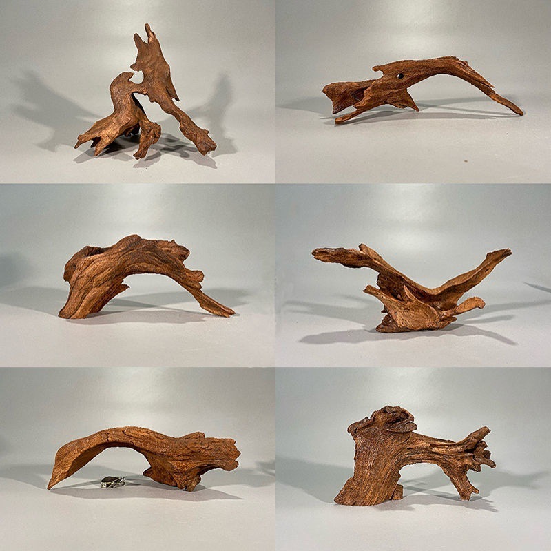 Decorazione a forma di albero  - Planted Aquarium With Driftwood recensione e prezzo