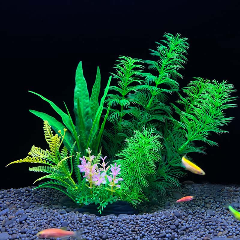 1 Pezzo Erba Acquatica Artific - Planted Aquarium Bowl recensione e prezzo
