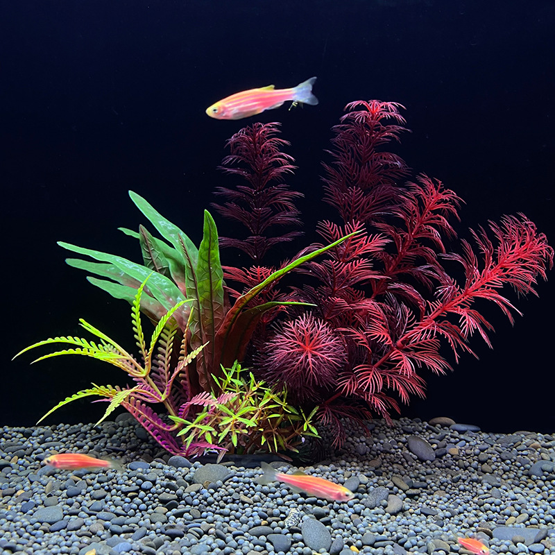 1 Pezzo Erba Acquatica Artific - Planted Aquarium Bowl recensione e prezzo