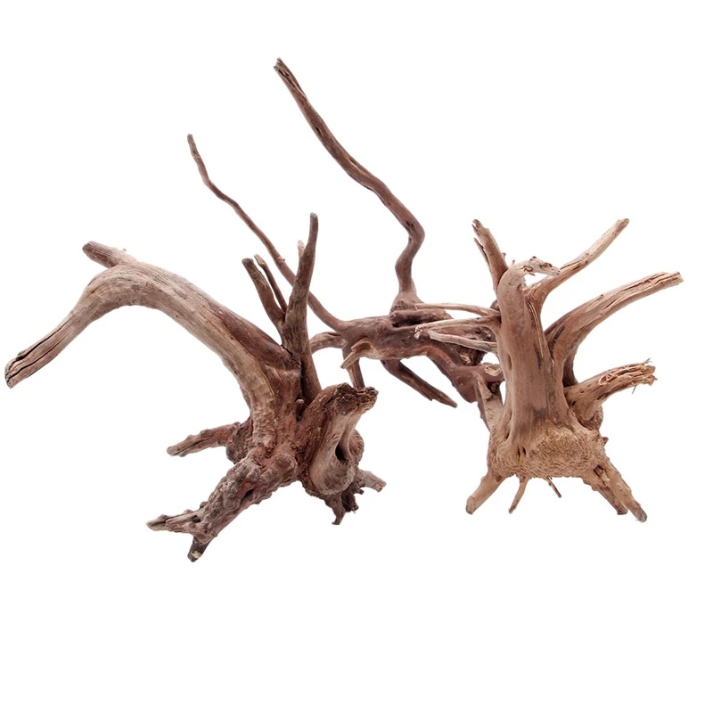 Tronco di legno naturale, legn - Planted Aquarium With Driftwood recensione e prezzo