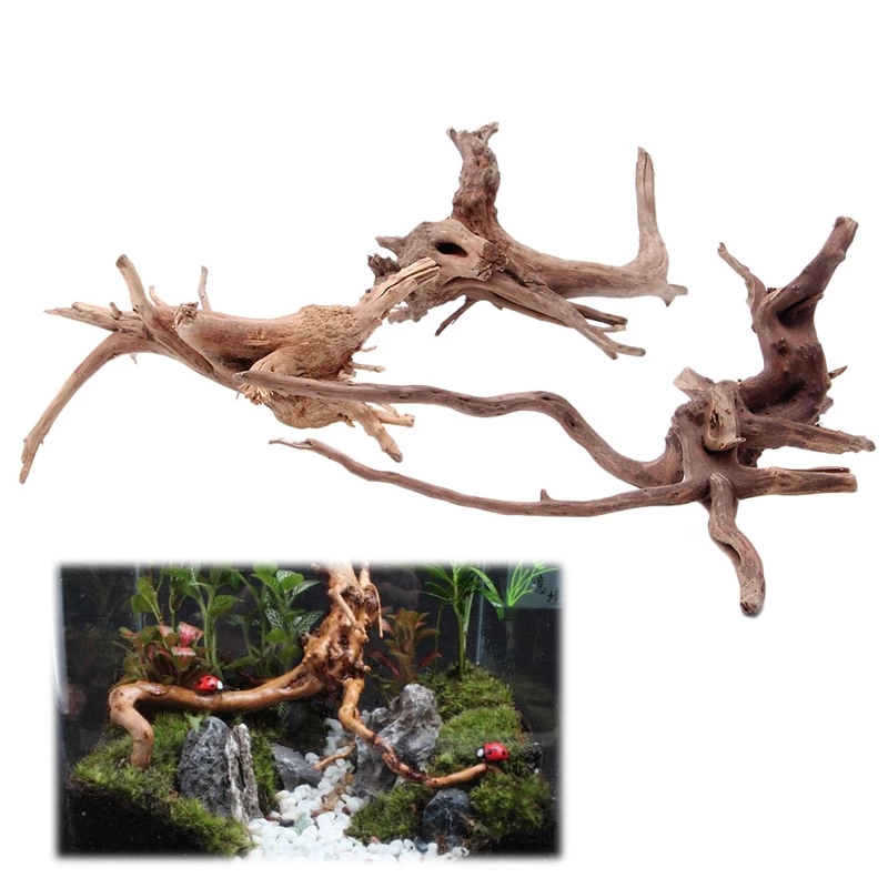 Tronco di legno naturale, legn - Planted Aquarium With Driftwood recensione e prezzo