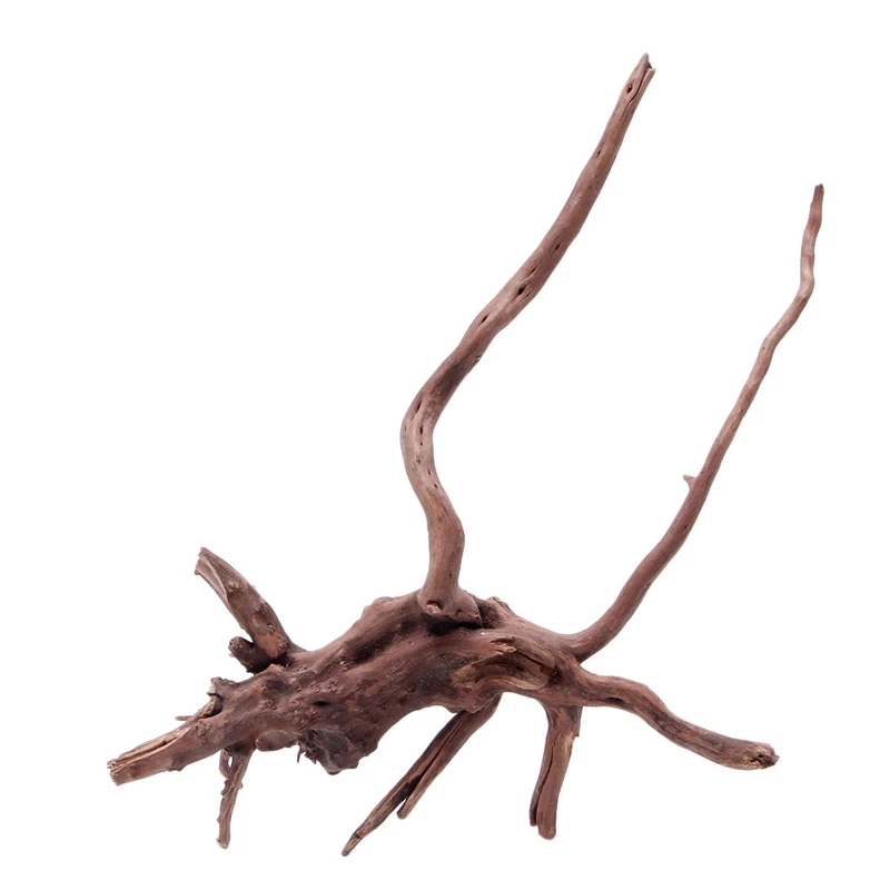 Tronco di legno naturale, legn - Planted Aquarium With Driftwood recensione e prezzo