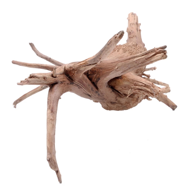 Tronco di legno naturale, legn - Planted Aquarium With Driftwood recensione e prezzo