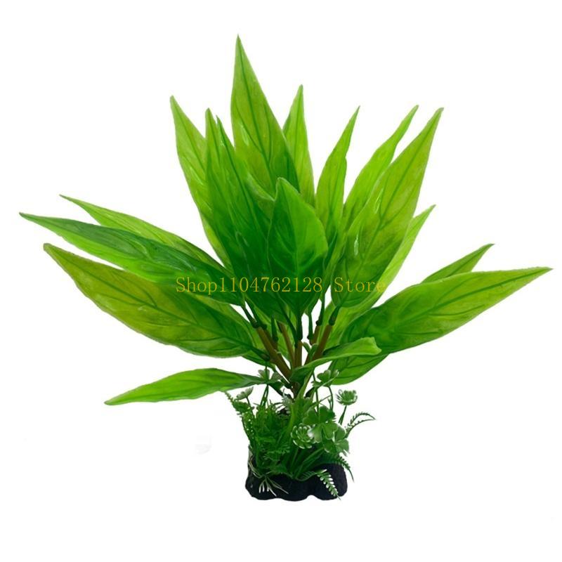 Acquario Piante acquatiche Pia - Planted Aquarium Best Fish recensione e prezzo
