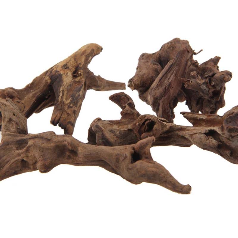 1PC Acquario naturale affondab - Planted Aquarium With Driftwood recensione e prezzo