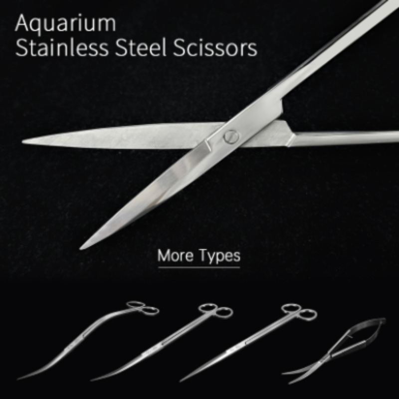 Forbici per Piante Acquatiche  - Aquarium Plant Iron recensione e prezzo