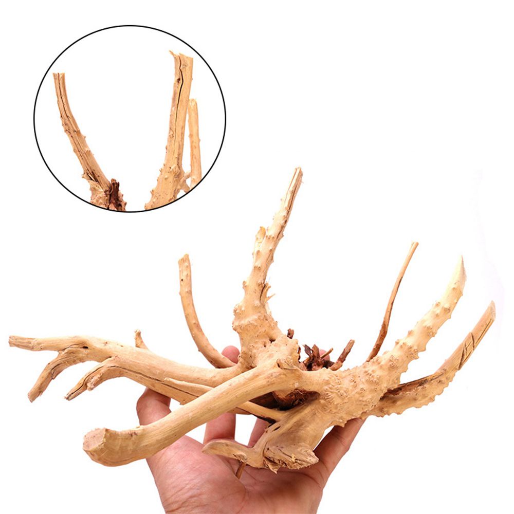 Legno N1N Paesaggistica Acquar - Planted Aquarium With Driftwood recensione e prezzo