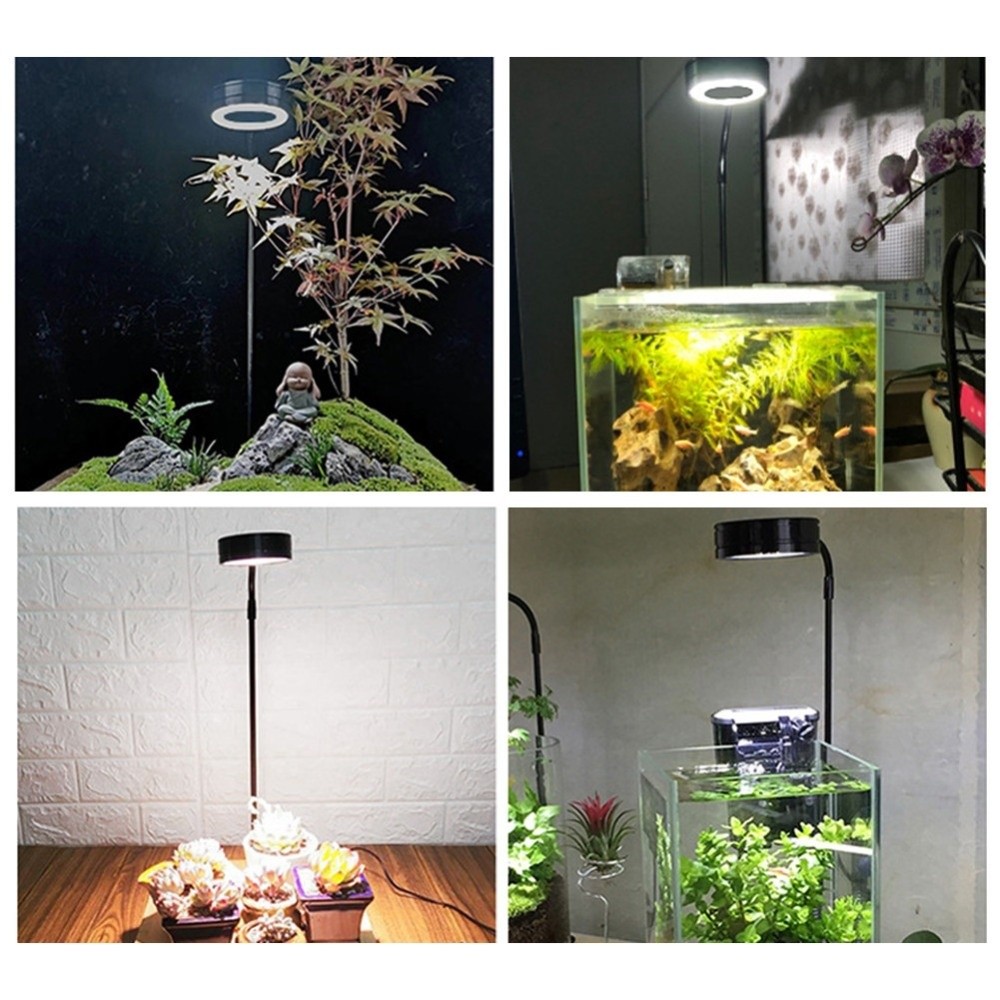 Lampada a LED per acquario da  - Aquarium Plant On Wood recensione e prezzo