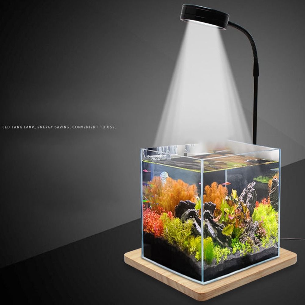 Lampada a LED per acquario da  - Aquarium Plant On Wood recensione e prezzo
