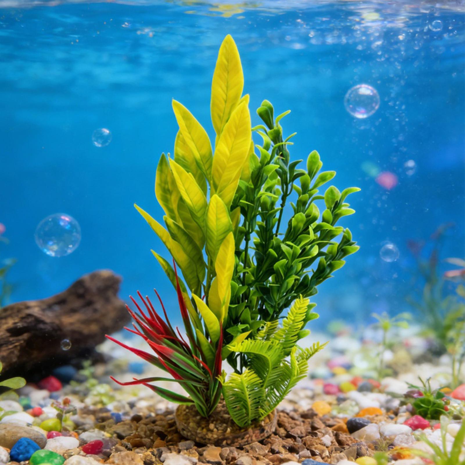Piante Artificiali per Acquari - Planted Aquarium For Beginners recensione e prezzo