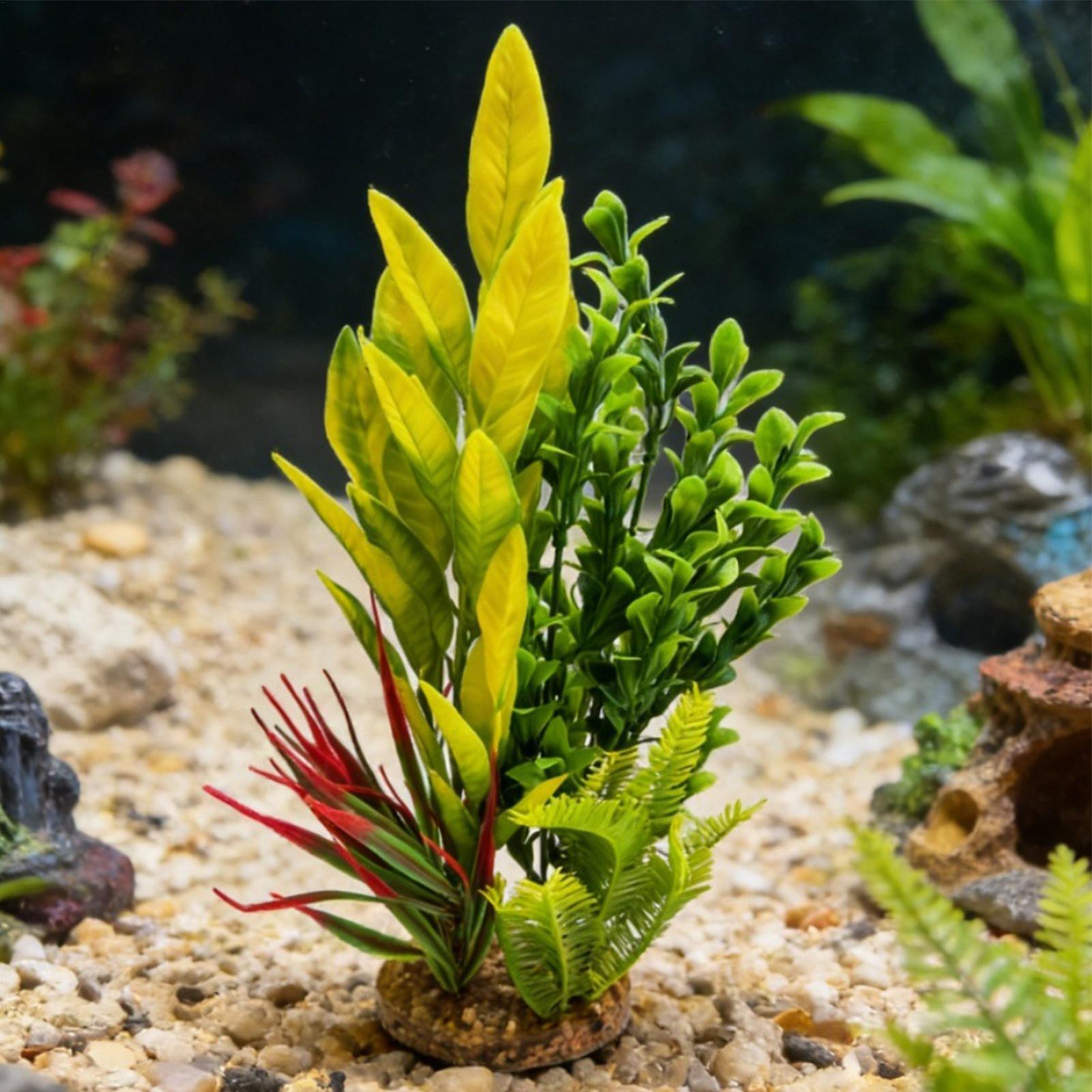 Piante Artificiali per Acquari - Planted Aquarium For Beginners recensione e prezzo