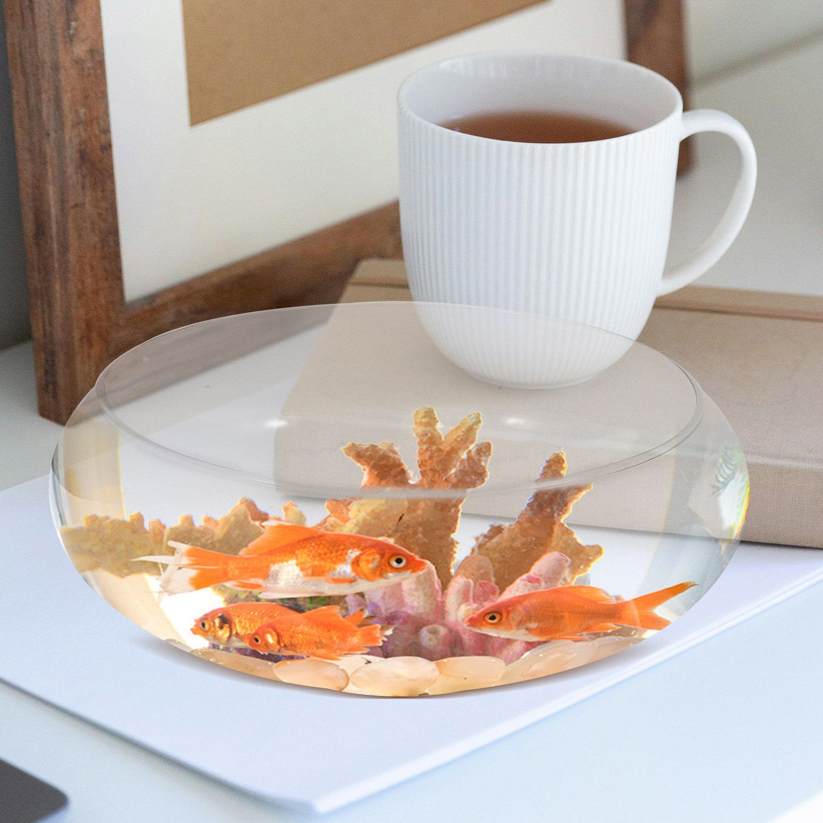 Acquario in Vetro, Piccolo Acq - Planted Aquarium Bowl recensione e prezzo