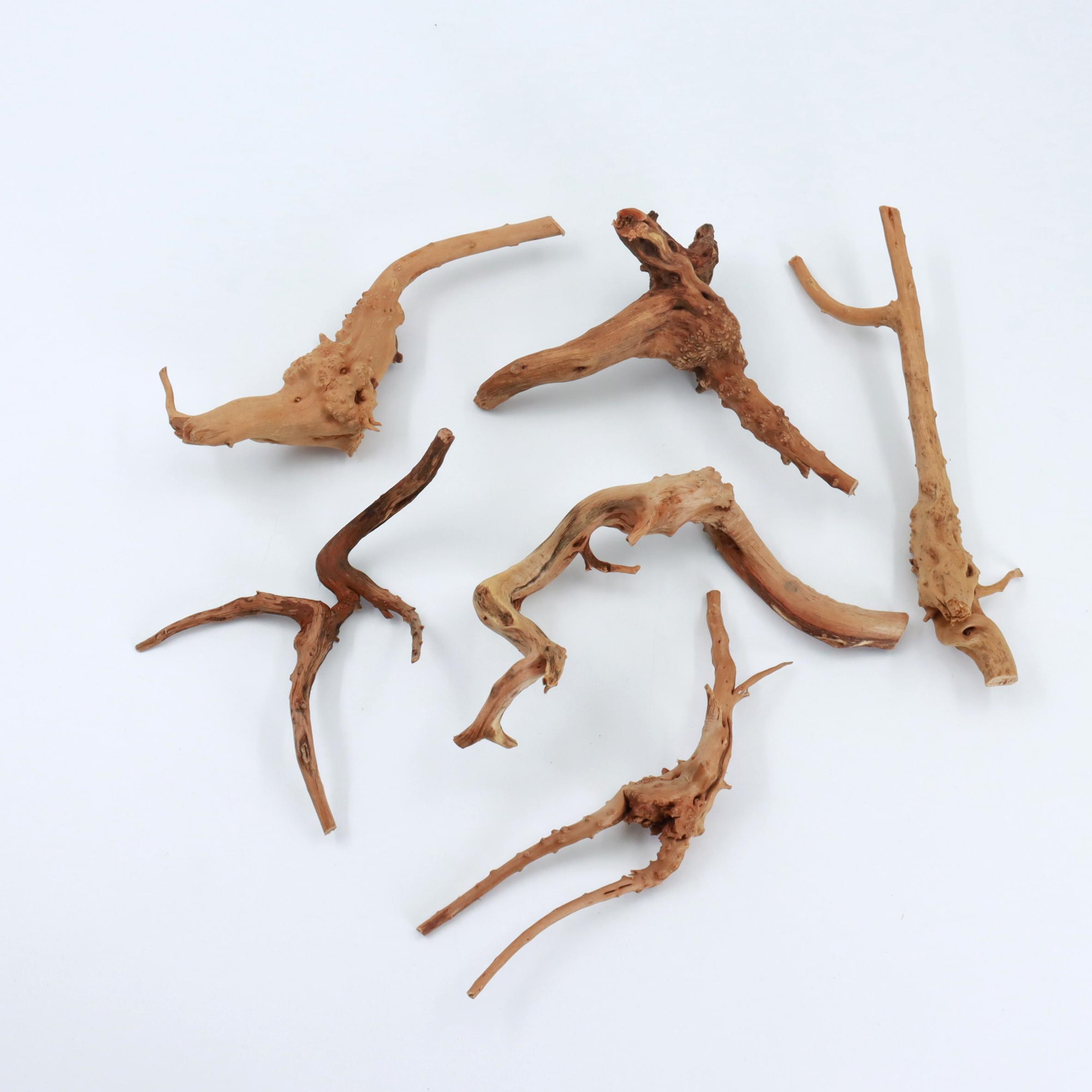 2 Pezzi di Legno Naturale di S - Planted Aquarium With Driftwood recensione e prezzo