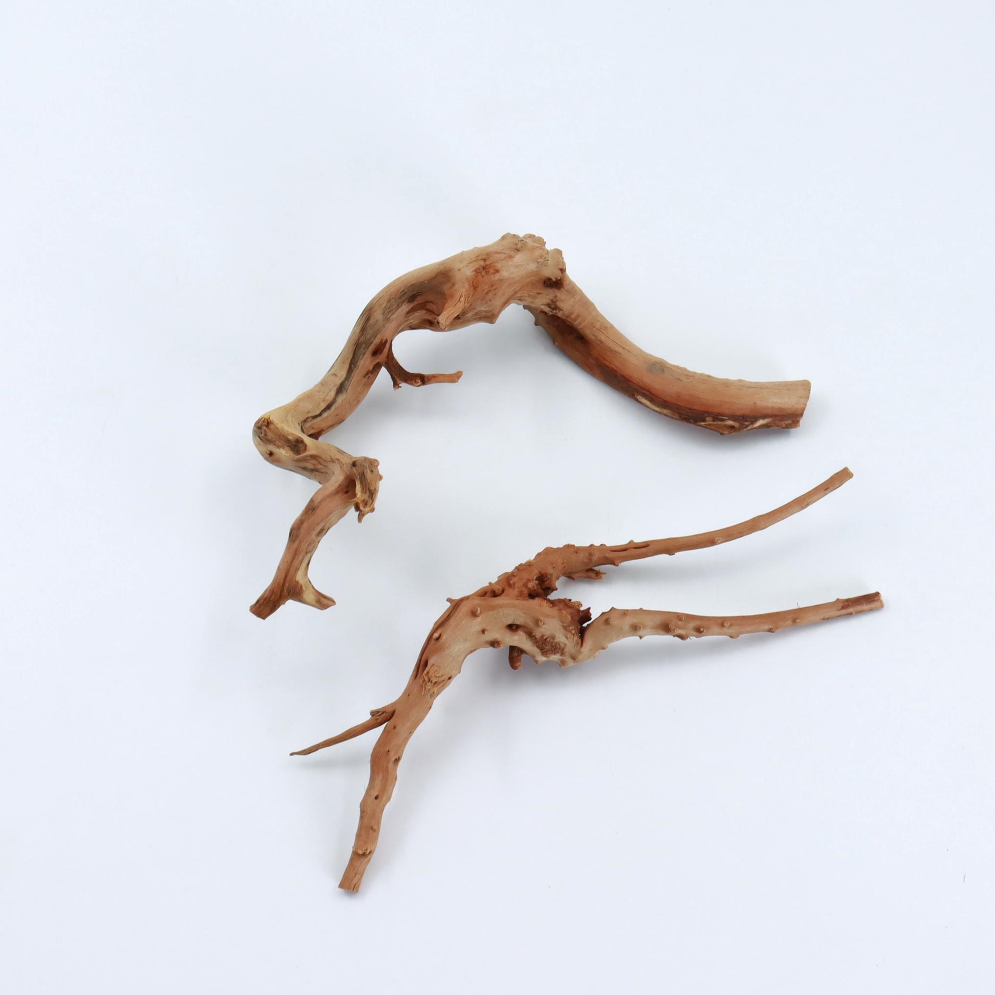2 Pezzi di Legno Naturale di S - Planted Aquarium With Driftwood recensione e prezzo
