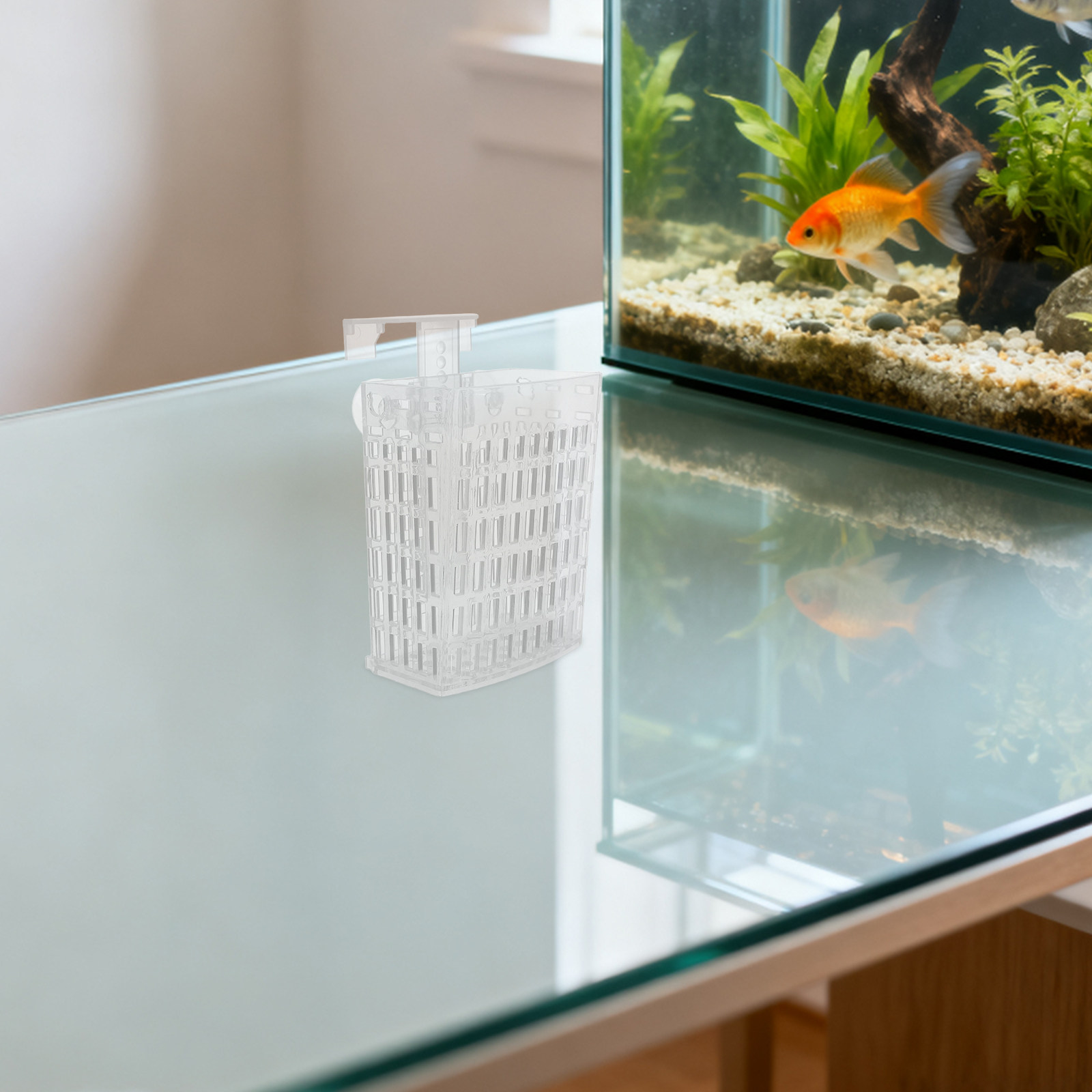 Supporto per Piante Acquatiche - Planted Aquarium Supplies recensione e prezzo
