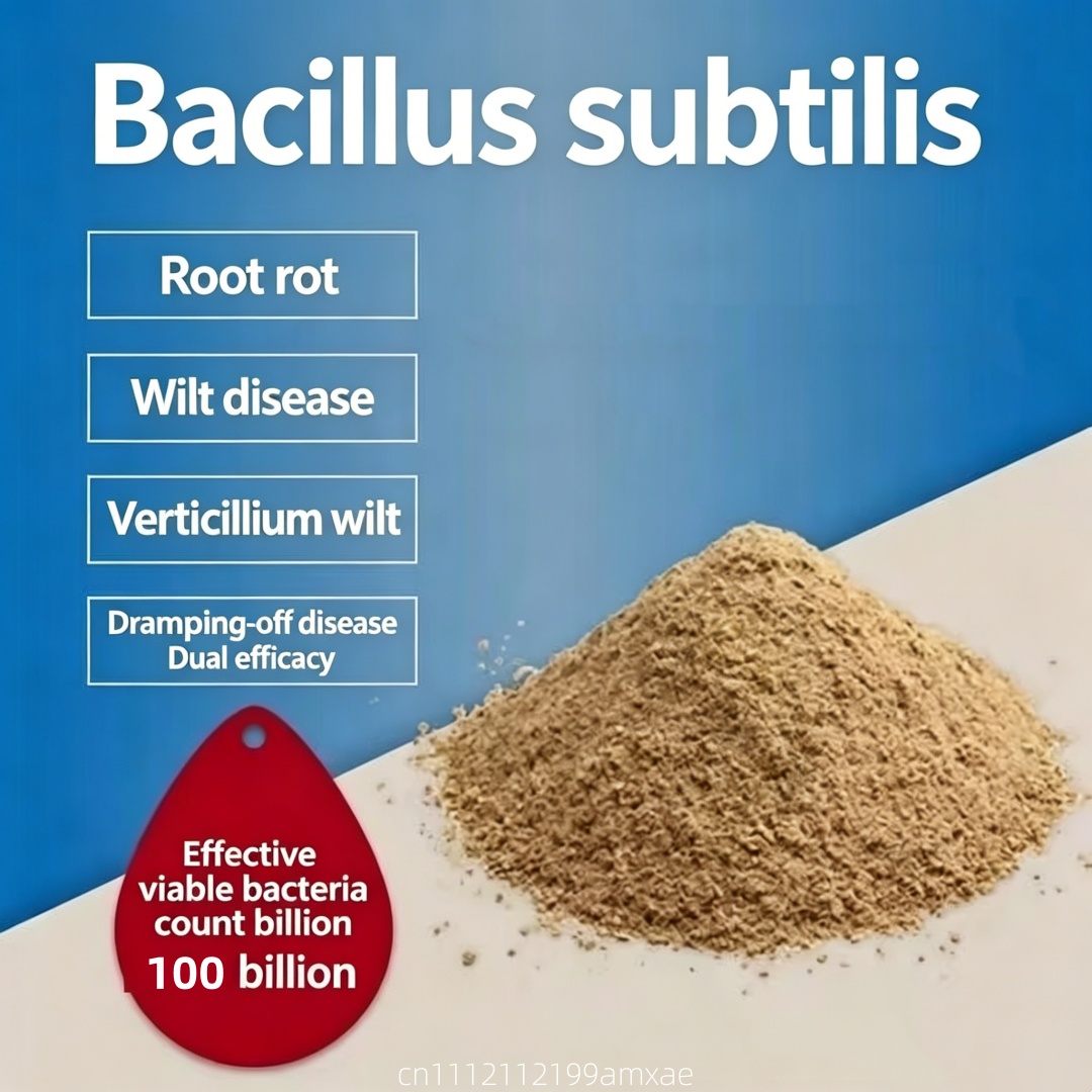 Polvere di Bacillus Subtilis a - Aquarium Planted Soil recensione e prezzo