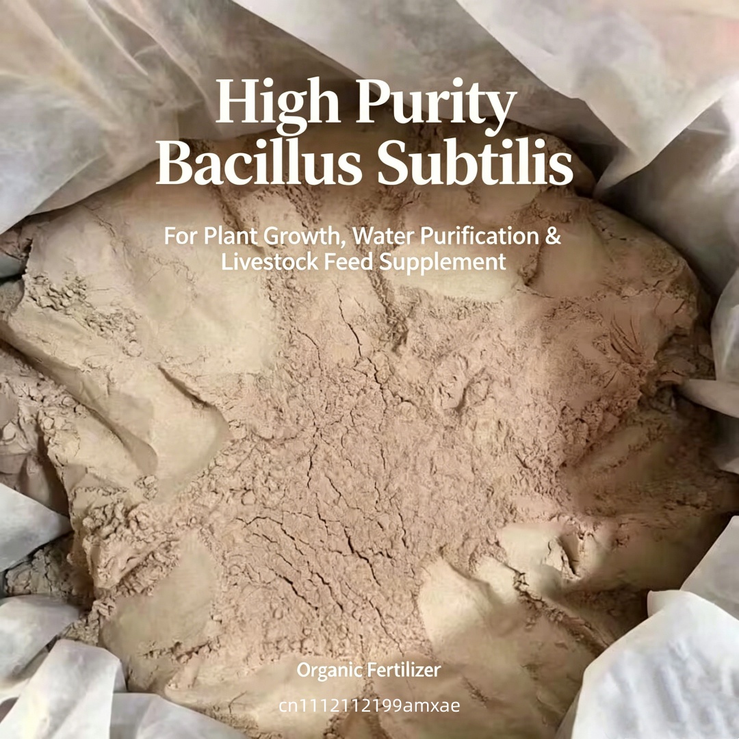 Polvere di Bacillus Subtilis a - Aquarium Planted Soil recensione e prezzo