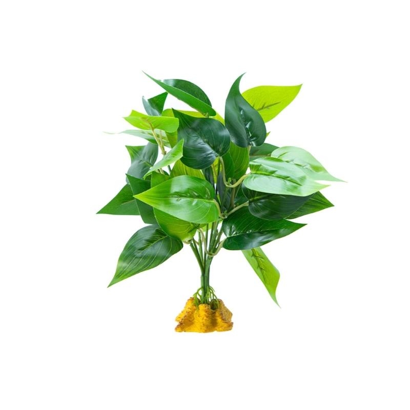 Acquari per piante per piante  - Aquarium Planted Fish recensione e prezzo