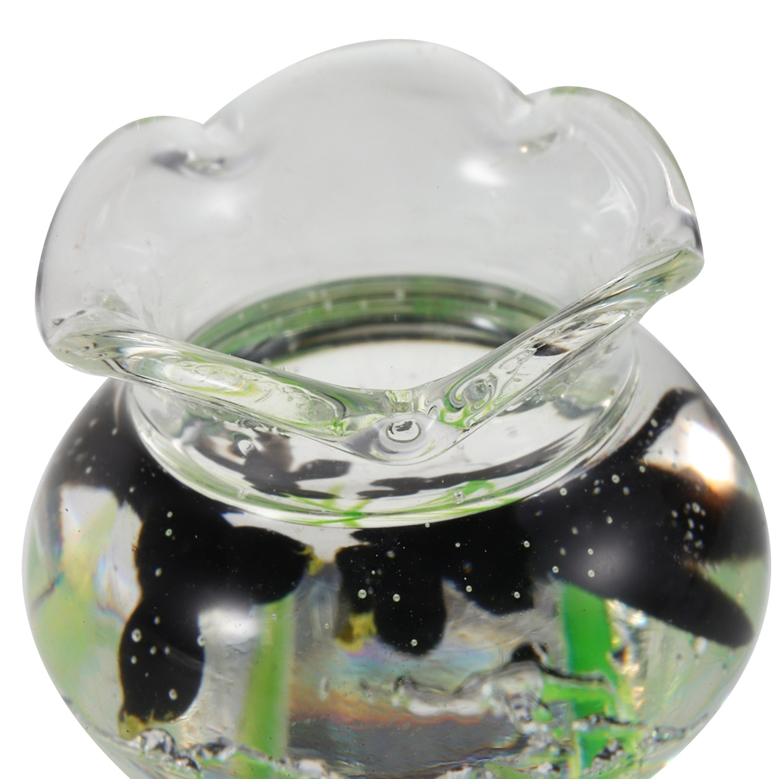 Mini Acquario in Resina, Vasca - Planted Aquarium Bowl recensione e prezzo