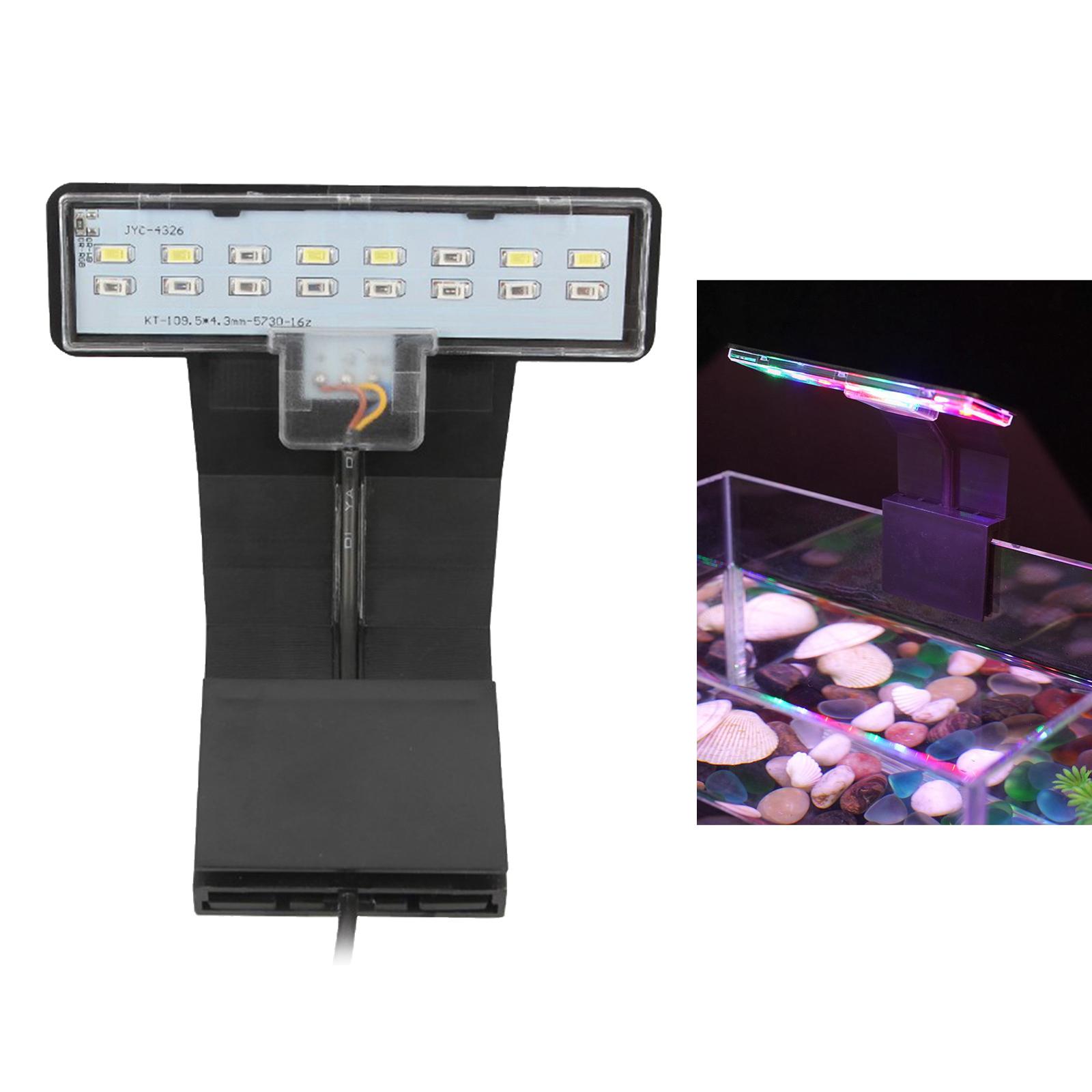 Luce a Spettro Completo con Cl - Planted Aquarium Bowl recensione e prezzo