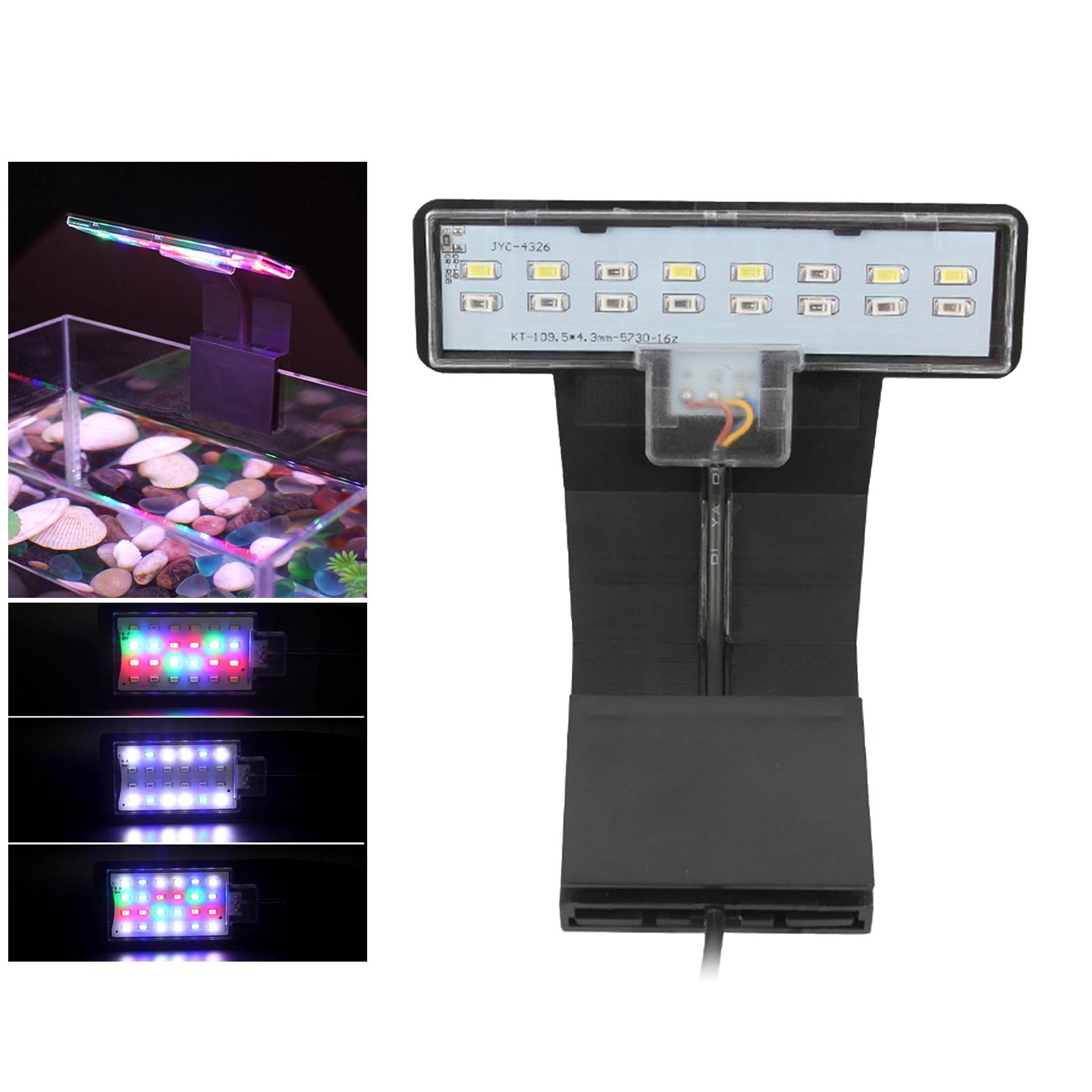 Luce a Spettro Completo con Cl - Planted Aquarium Bowl recensione e prezzo