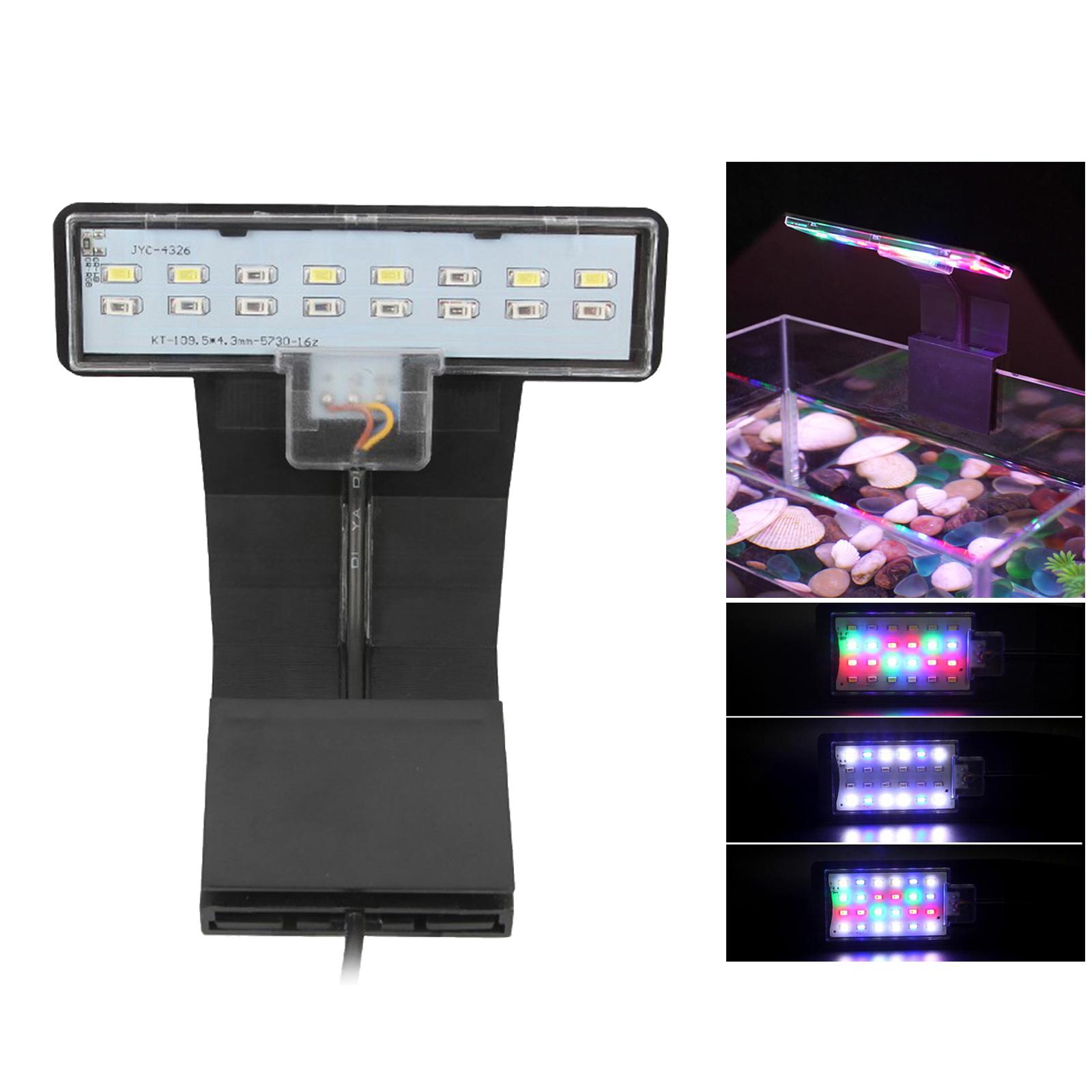 Luce a Spettro Completo con Cl - Planted Aquarium Bowl recensione e prezzo