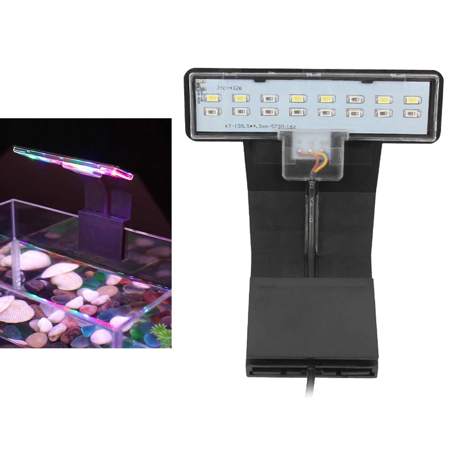Luce a Spettro Completo con Cl - Planted Aquarium Bowl recensione e prezzo
